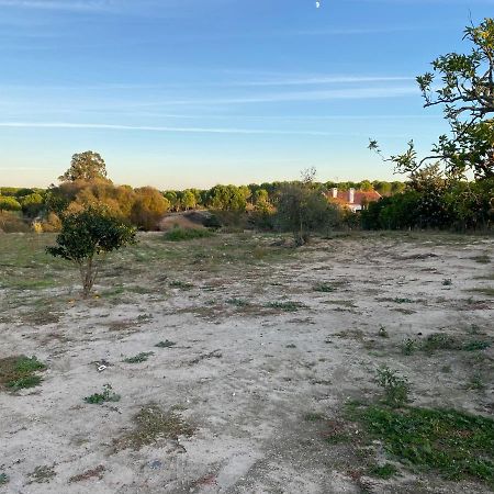 Villa Cozy Farm House In The Countryside Monte Das Figueiras de Lavre Exterior foto